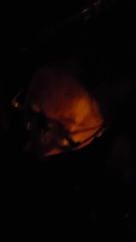 Blowjob in the Street