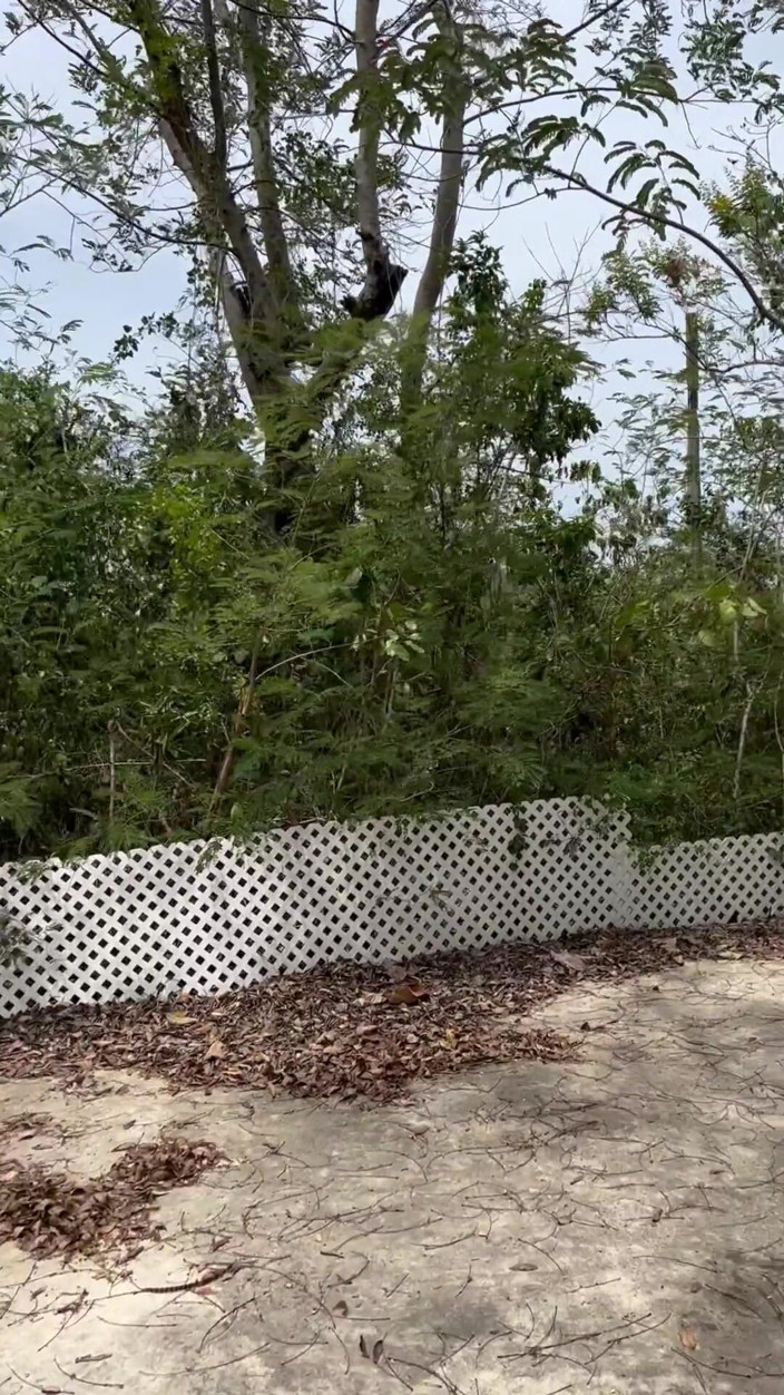 ortizjona: Hiking in the Wood and Abandoned Park Jerking off Until...
