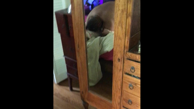 Liz Heat: Liz gör med stor D och knullar