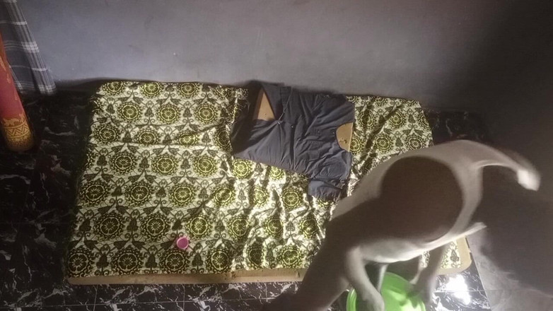 Moviesporn1: 다시 큰 요리사에 다시 나는 스페셜을 좋아한다