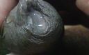 My videoxxx: Gay Masturbating Porn Video