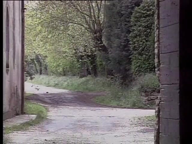 XTime Vod: Cock Insurer