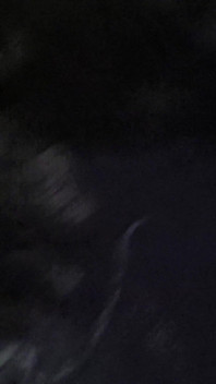Horror Porn 17: Female Spider