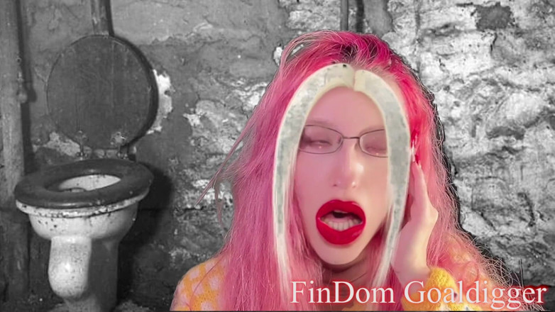 FinDom Goaldigger: Gold toilet transformation