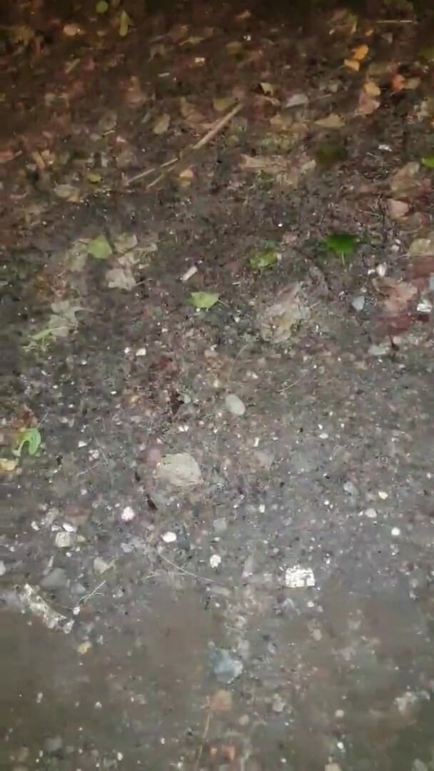 Slutboyben: Slutboyben cam4 heiße exhibitionistin expozure cumblast