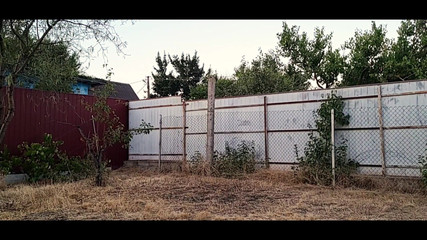 Bear mr: Quy tắc nóng cho chơi thông thường