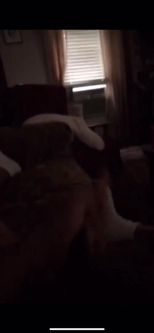 Takeit4daddy: 抚摸我的鸡巴，我应该制作更多视频吗？