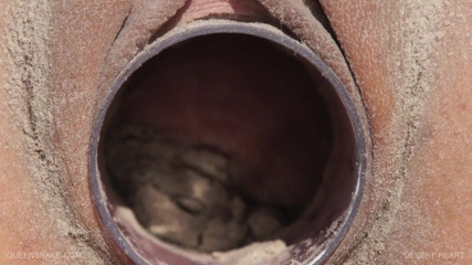 Queen Snake: Masturbating and gaping at the sand beach