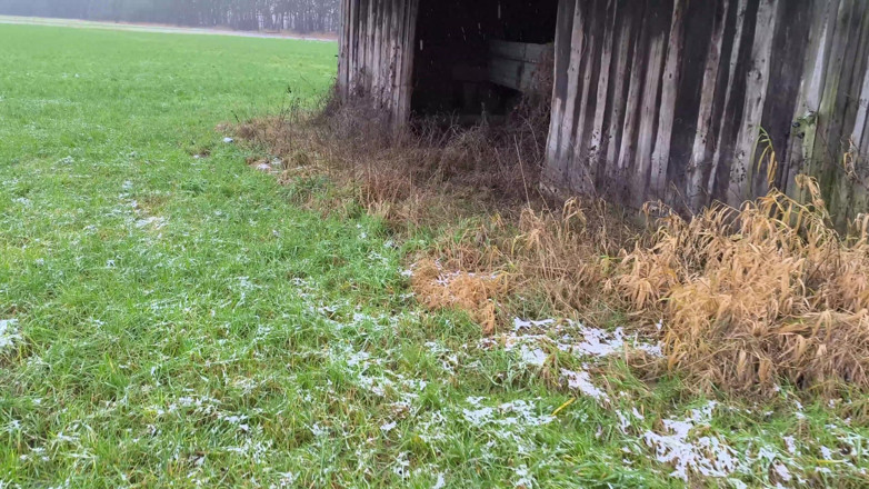 Bouncy Tits Action: Naked in the Shed While It Snows