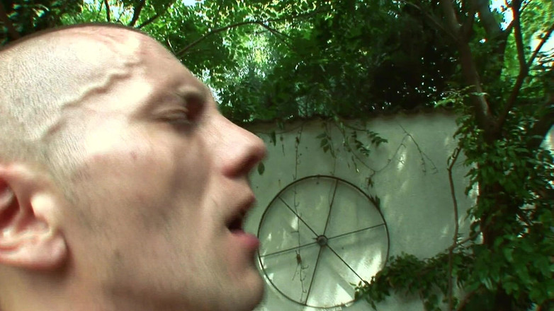 Alfacontent: 魅力的なドイツ語で数秒で没頭