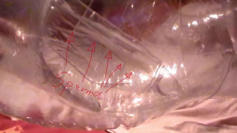 Mark Hannes: Čistá panenka creampie šukání masturbace