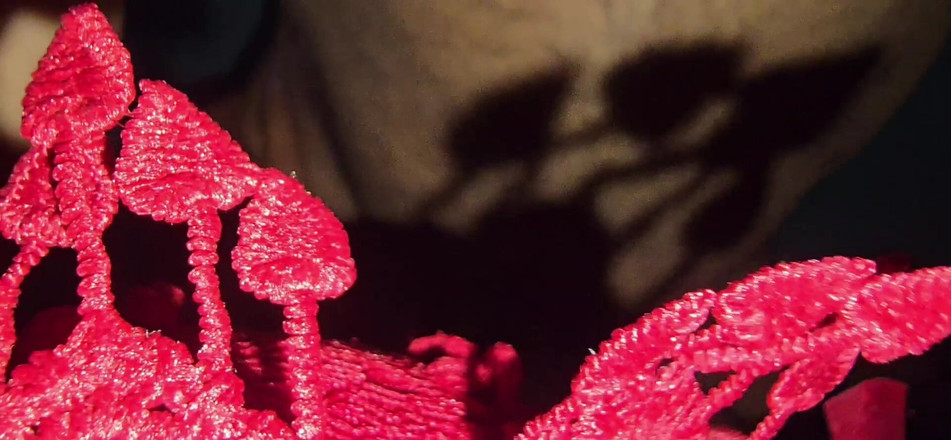 SafeRosebush8: Prstění v mé přítelkyni Vegina a vyšla z toho spousta...