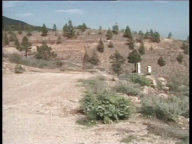 Out Sexxx: 일부 드라이버에게 자지를 유혹하는 성숙한 걸레의 길에서 섹스