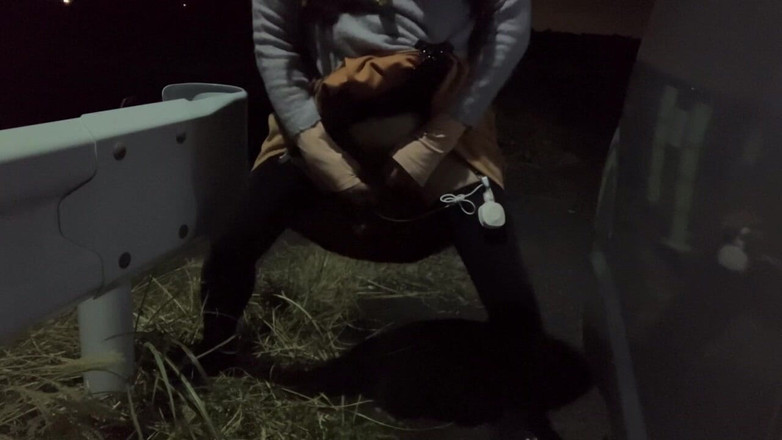 megu2002: Bağımsız Eğitim No32 Gece Yürüyüşünde Köpek Pozu