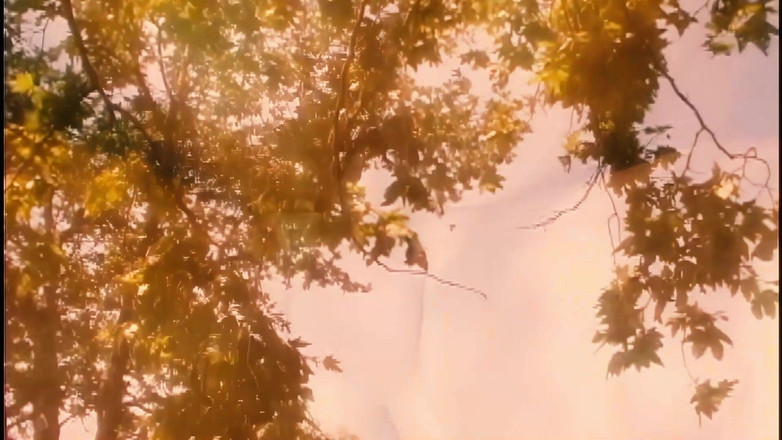 BestPorn85: Roxy Jezel je napumpována během pikniku, když se to otočí...