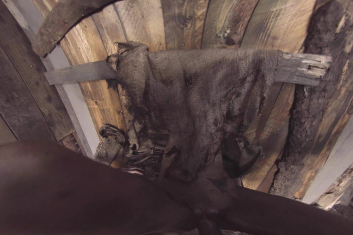 Xvirtual: X Virtual 19 the Monster From the Woods 180°
