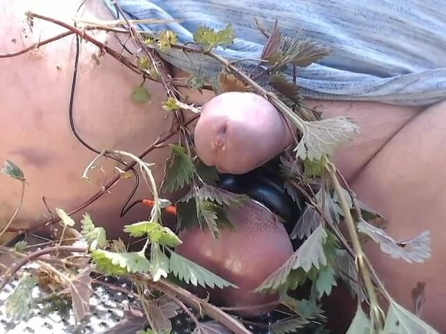 Gaylectrician: Fun with nettles