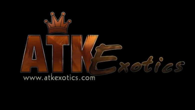 Classic ATK Exotics: Sporturi nautice