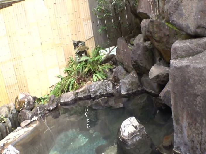 Apolix-JP: Over 100 Partners at 19!? a New Service at a Hot Spring...