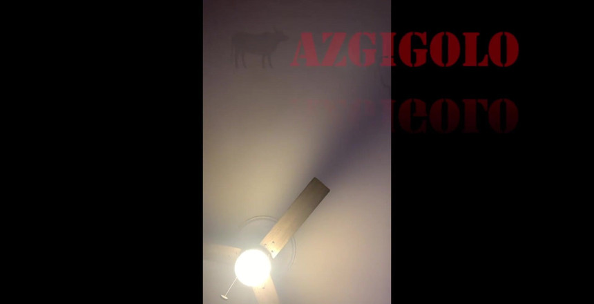 AZGIGOLO: Yo llamo a esto: "En primer plano accidental". Aprilskyz estaba tomando...