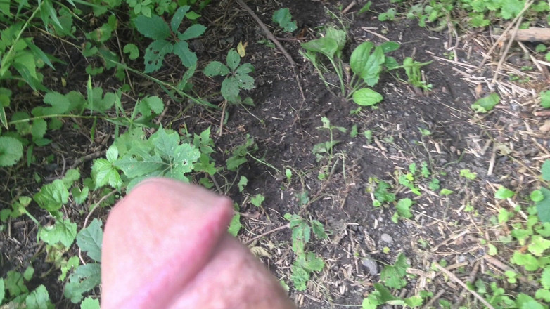 Truridge: Pokaz slajdów i 2 filmy