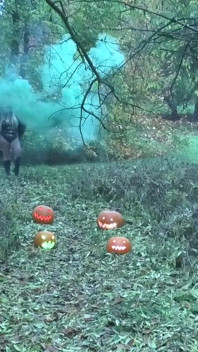 Bombas de fumaça