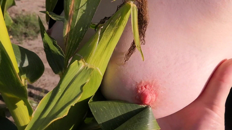 Bouncy Tits Action: Slap my tits in corn field