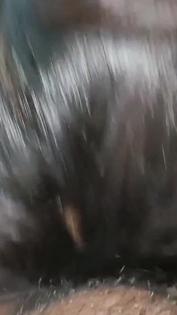 Fuck My Indian Girlfriend in Bathroom Orgasm Compilation