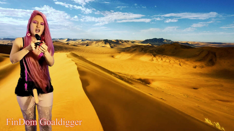 FinDom Goaldigger: Goed opgeleide mietjesslet - deel 3