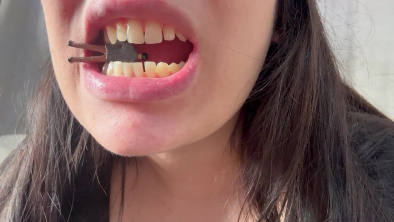 AmayaMori: Giantess Girl Puts Her Tiny Husband on Her