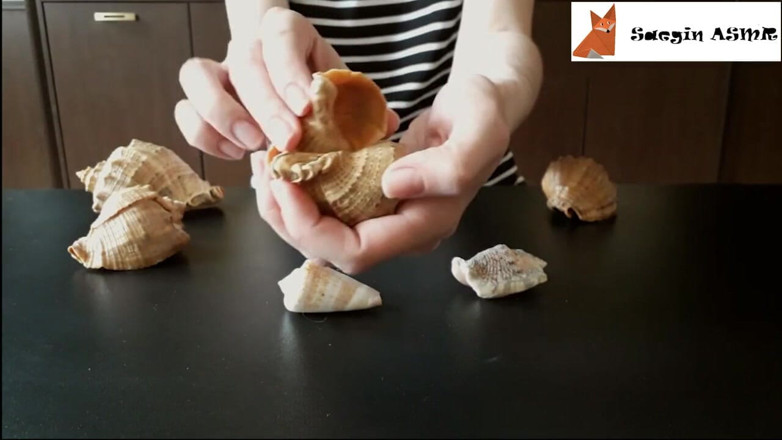Saegin: 1[ASMR] bergesel bersama dan menggaru seashells (tiada bercakap)