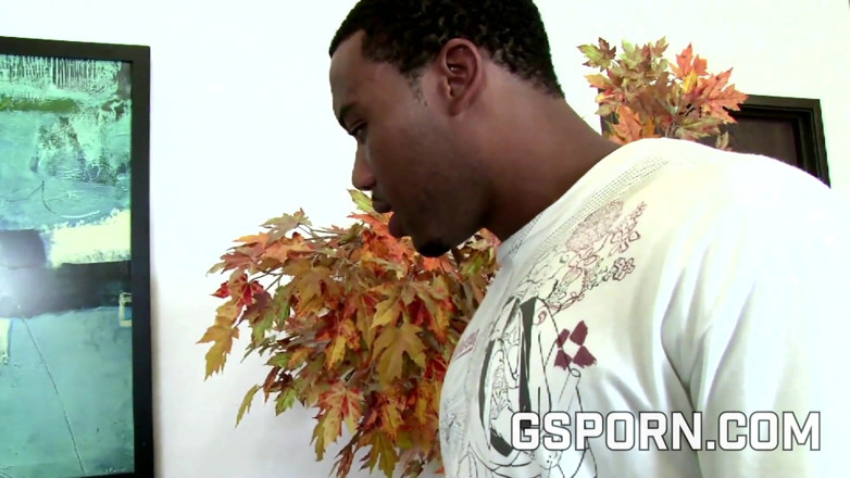 GS studio: Rough big black cock to fuck hard the hot brunette...
