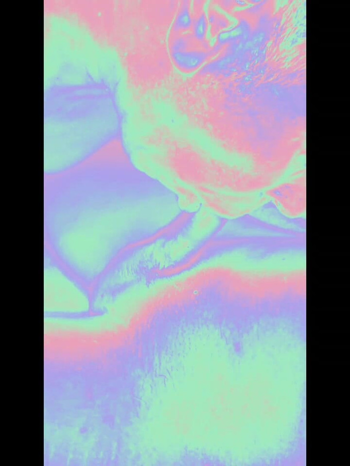 Ladyboy Karl: Sucer une trans dans Holo