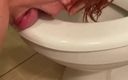 Elena studio: Pissing and cleaning the toilet with my tongue