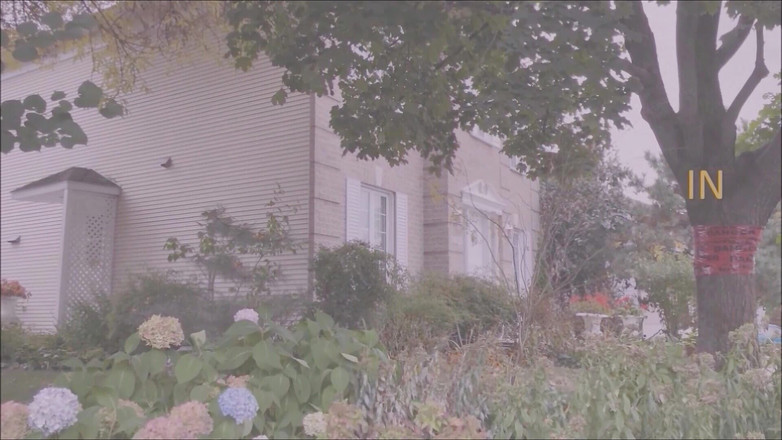 Dom Rod: Secara seksual 2