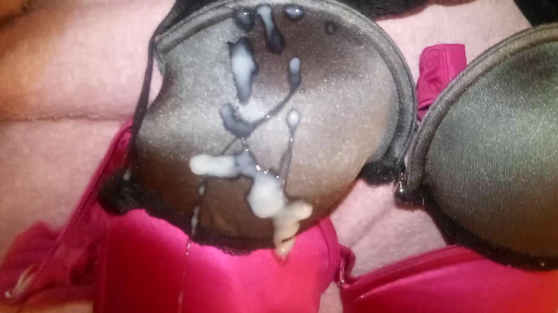 Leatransteen: Leatransteen jouit dans des soutiens-gorge