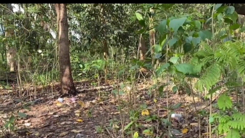 TheBlacKHunterr: Круїз за стіною