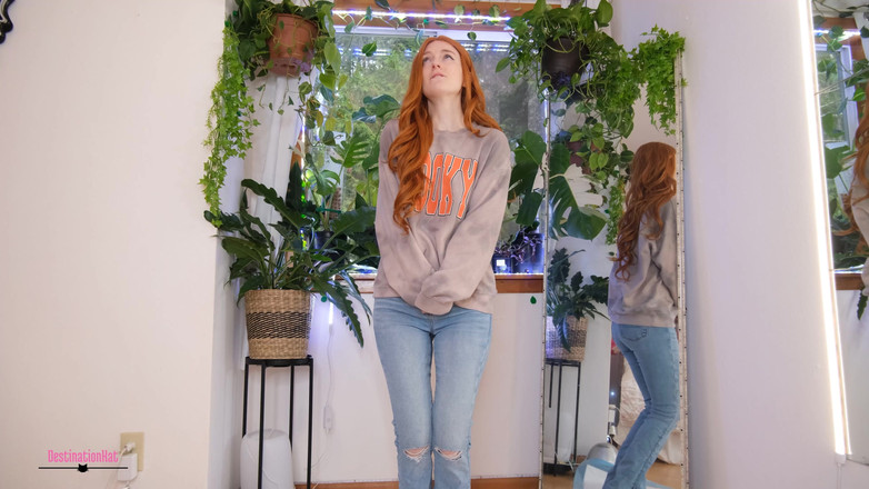 Destination Kat: Kissa rummet ny förfrågan