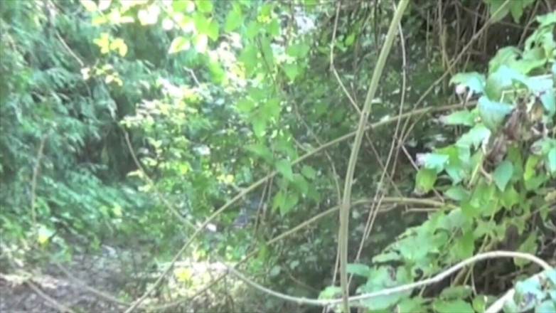 Crunch Boy: Elis fucked by young straight Arab in cruising forest