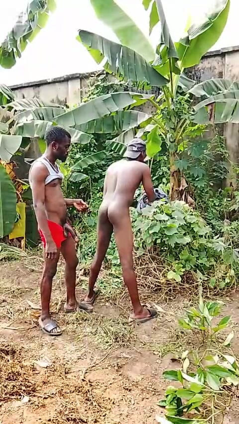 Porchey: Bohr den schlampenarsch mit 12 Zoll schwanz