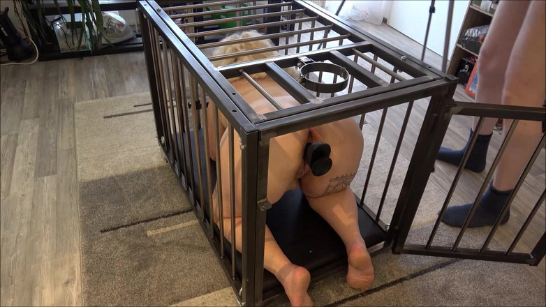 Slave Jenni: Sì, Maestro, sono tuo