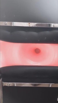 Exercise donut ball pumped