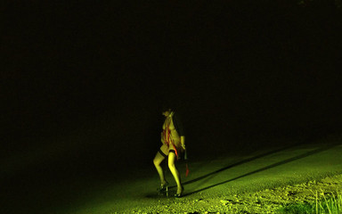 Toilet Mommy: Une pute en plein air pisse