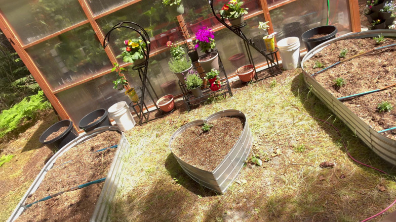 Destination Kat: More Greenhouse Work