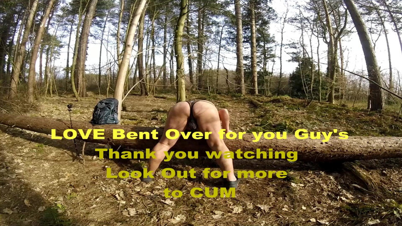 Andy: Caminhada 12 2025