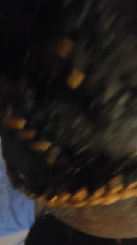 Big Ass Ebony Blowjob Cum Swallow