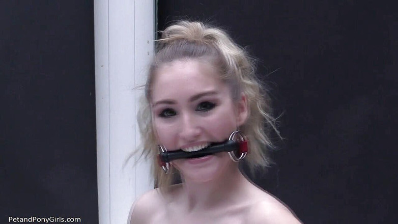 Her Kink UK: Patriotic pony girl