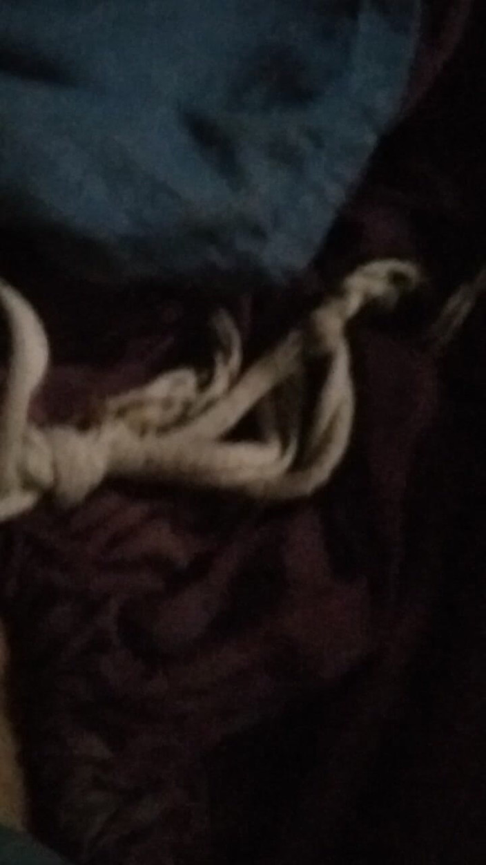 Alina studio: Video personale quotidiano