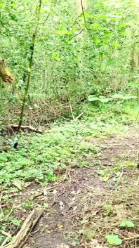 Creampied on No Contraception by a Stranger in the Woods