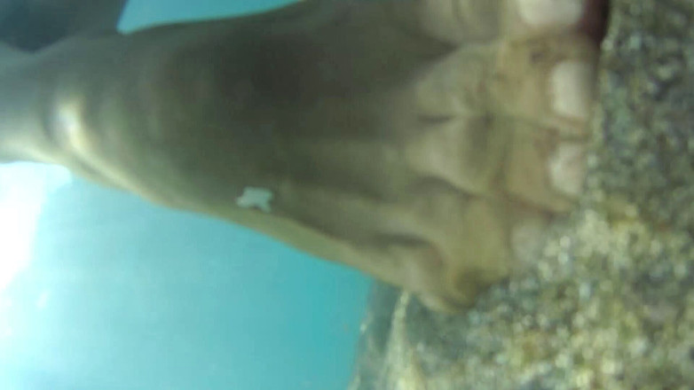 Nylondelux: 裸体连裤袜海